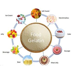 beef Gelatin Powder pharma grade Gelatin beef skin Gelatin 250 160 180 Bloom 8mesh E-KING GELTIN